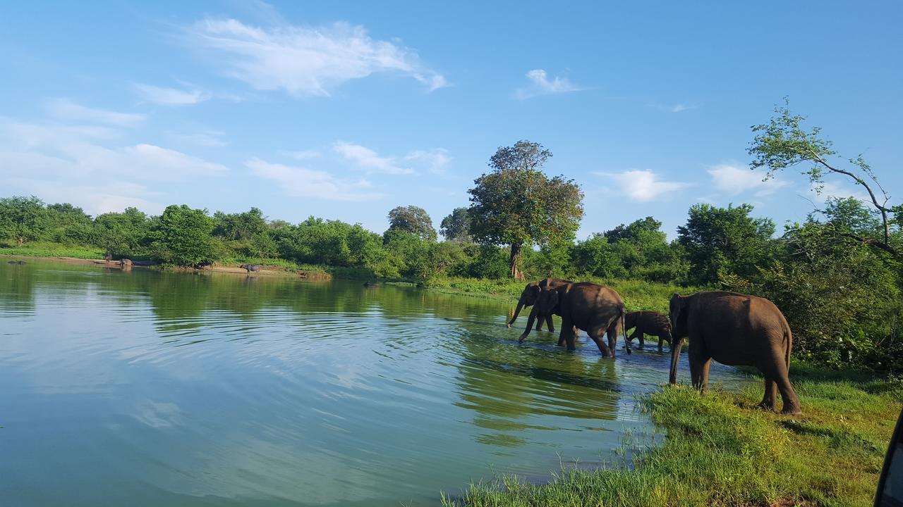 Kuma Safari Lodge اوداوالاوي المظهر الخارجي الصورة